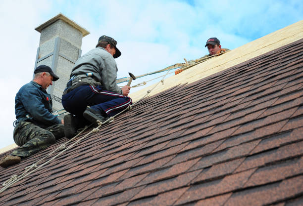Best Flat Roof Repair Services  in Norristown, PA